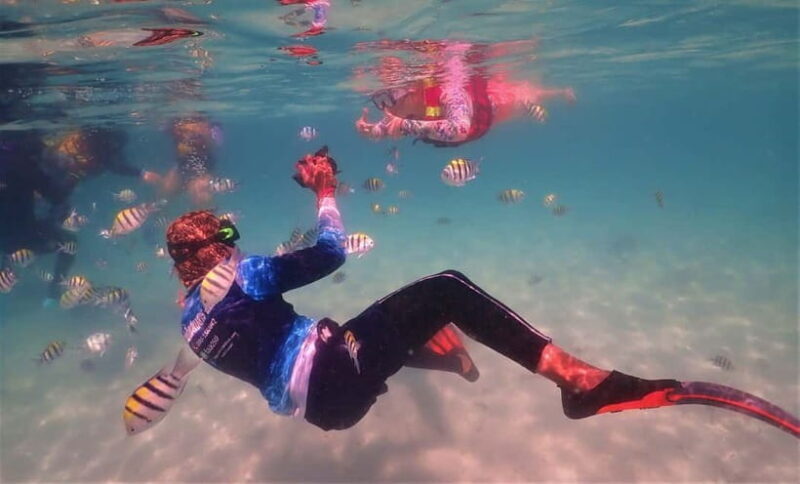 Snorkel & Chill: Nemo Island Trip from Pattaya - Final Thoughts