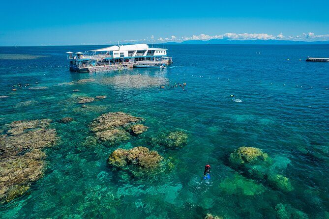 Snorkel & Dive the Reef: Sustainable, Scientific & Cultural Tour - An Honest Look at the Tour Experience