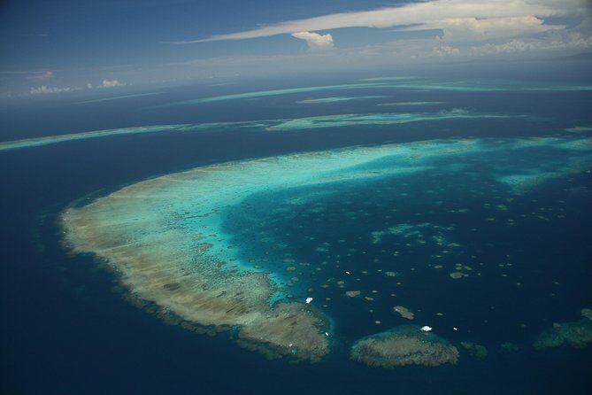 Snorkel & Dive the Reef: Sustainable, Scientific & Cultural Tour - FAQ