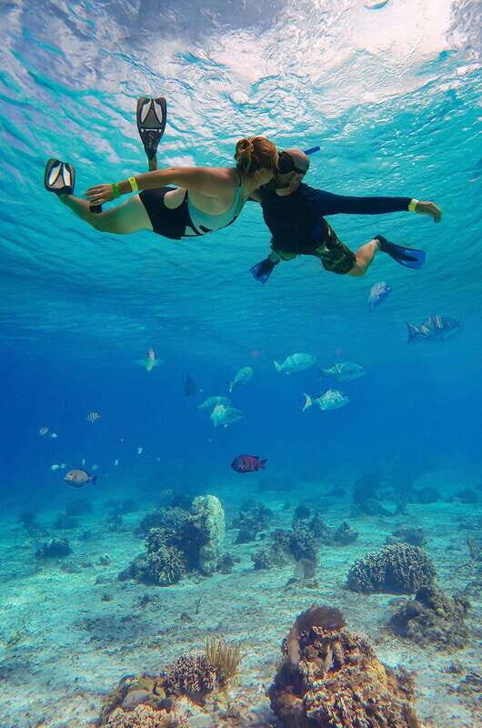 Snorkel: Explore reefs in Cozumel, El Cielo, Palancar and more + Lunch - What’s Included and What to Budget