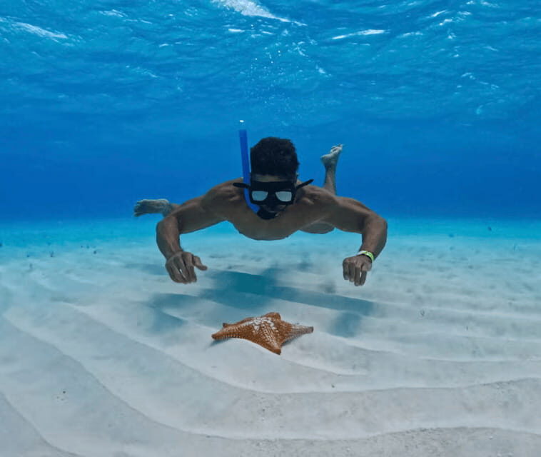 Snorkel: Explore reefs in Cozumel, El Cielo, Palancar and more + Lunch - Final Thoughts