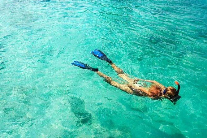 snorkel-fort-lauderdale-jean-cousteaus-reef-and-snorkel-trail