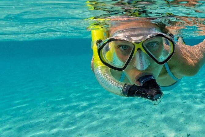 snorkel-fort-lauderdale-jean-cousteaus-reef-and-snorkel-trail
