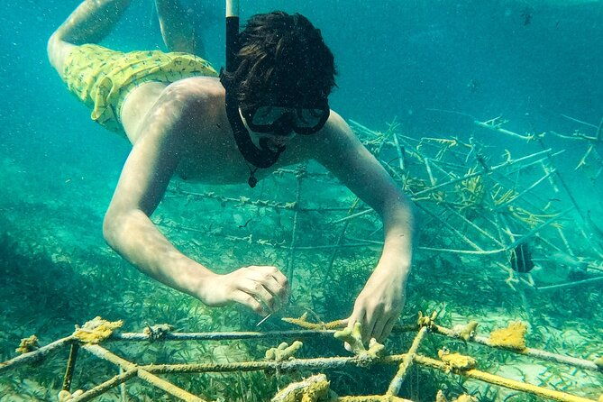 snorkel-lovers-for-all-ages-premium-seafood-lunch-in-punta-cana