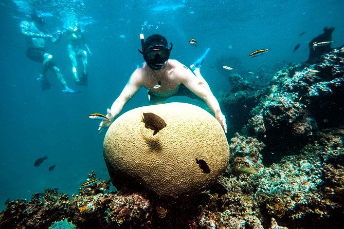 snorkel-lovers-for-all-ages-premium-seafood-lunch-in-punta-cana