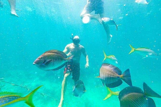 snorkel-lovers-for-all-ages-premium-seafood-lunch-in-punta-cana