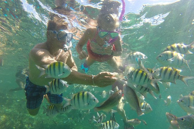 snorkel-lovers-for-all-ages-premium-seafood-lunch-in-punta-cana