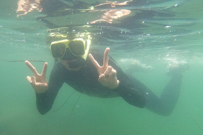 snorkel-san-diegos-mission-bay-with-a-marine-biologist-2