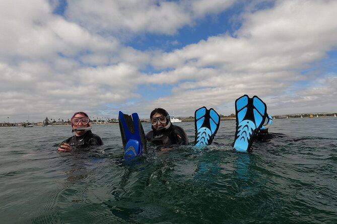 snorkel-san-diegos-mission-bay-with-a-marine-biologist