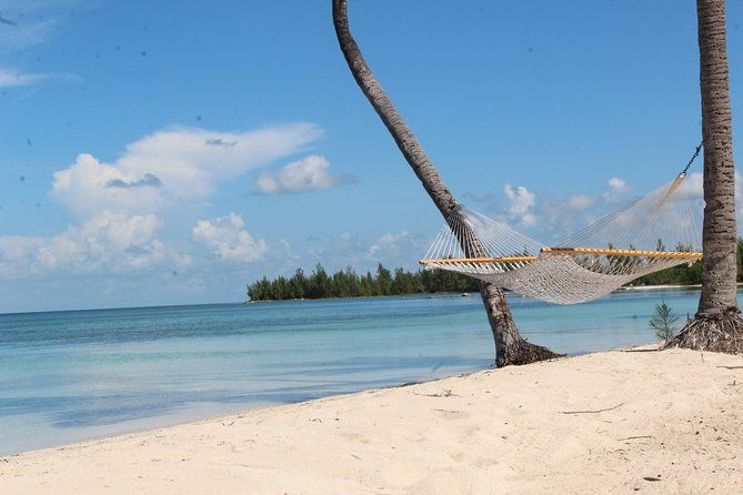 snorkel-swim-with-the-turtles-experience