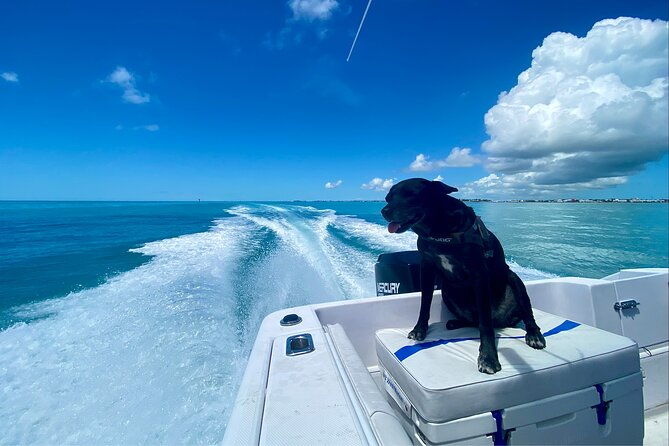 snorkel-the-coral-reef-and-explore-the-waters-of-key-west
