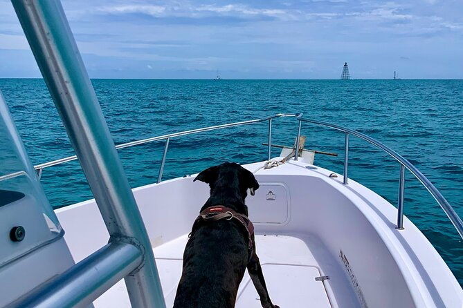 snorkel-the-coral-reef-and-explore-the-waters-of-key-west