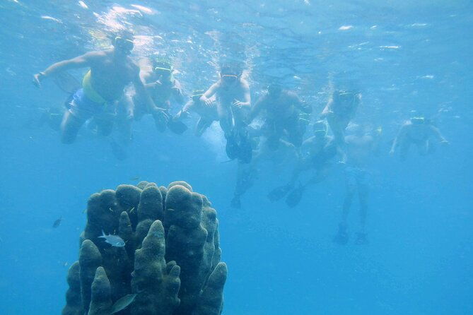 snorkel-to-a-locals-secret-spot-private-charter