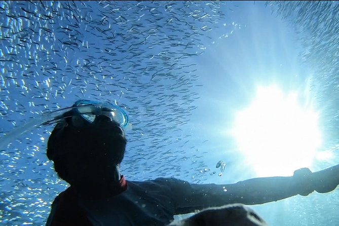 snorkel-tour-in-paraggi-bay