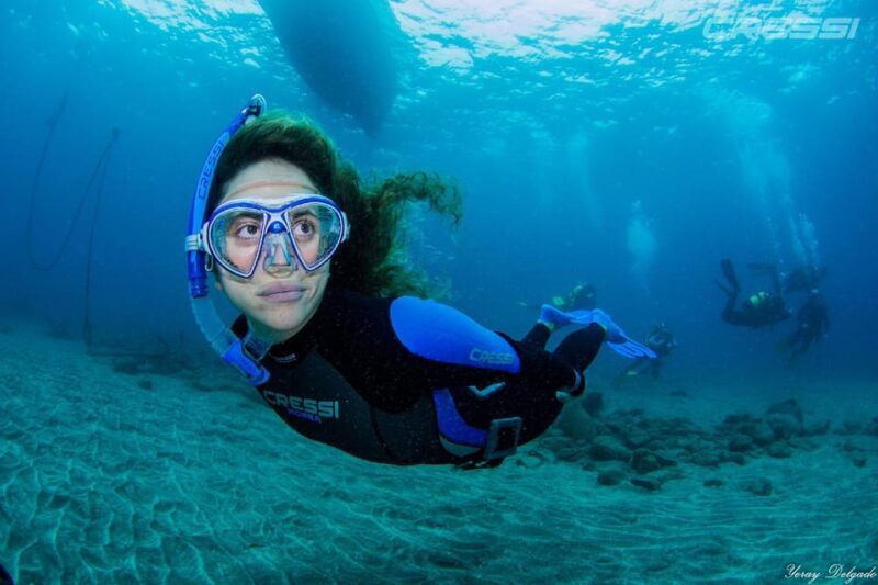 snorkel-tour-why-not