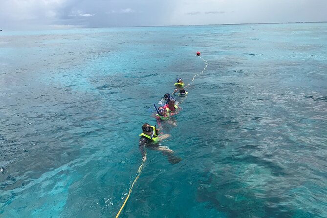 snorkel-tours-to-key-largo-reef-for-up-to-6-people-includes-gear-2