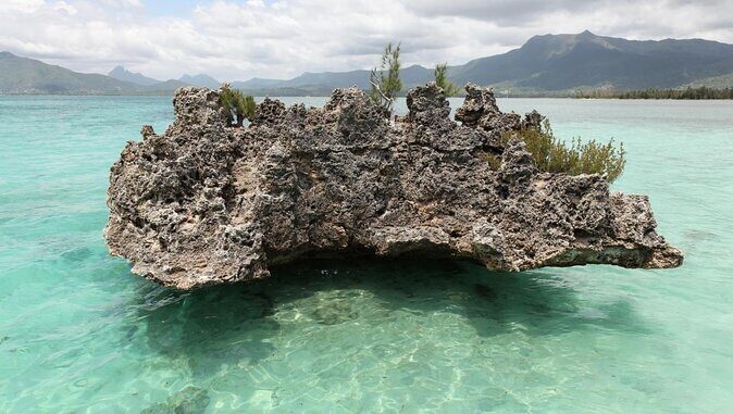 Snorkel with Dolphins, Lunch on Benitiers island, Speedboat - Key Points