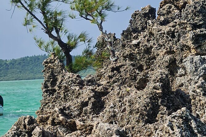 Snorkel with Dolphins, Lunch on Benitiers island, Speedboat - Authenticity and Tips Based on Reviews