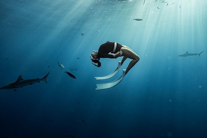 snorkel-with-sharks-on-the-north-shore-of-oahu