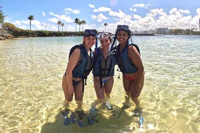 snorkel-with-turtle-in-san-juan-gopro4k-photos-videos-included
