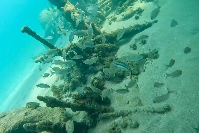 snorkel-with-turtle-in-san-juan-gopro4k-photos-videos-included