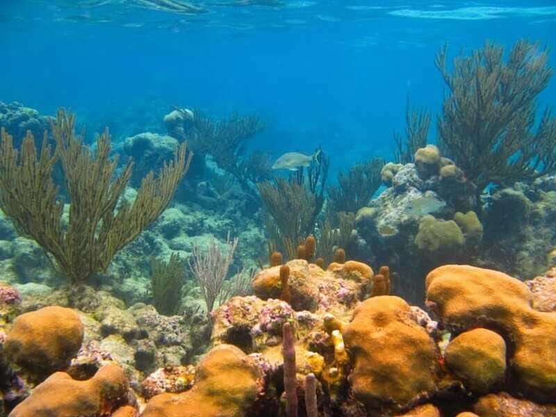 Snorkel Xtreme Adventure - Exploring the Itinerary: Step-by-Step