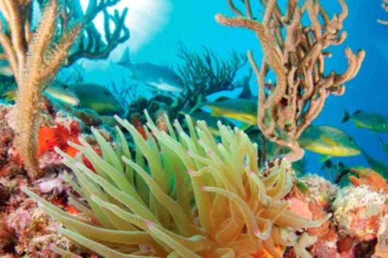 Snorkel Xtreme Adventure - Who Should Consider This Tour?
