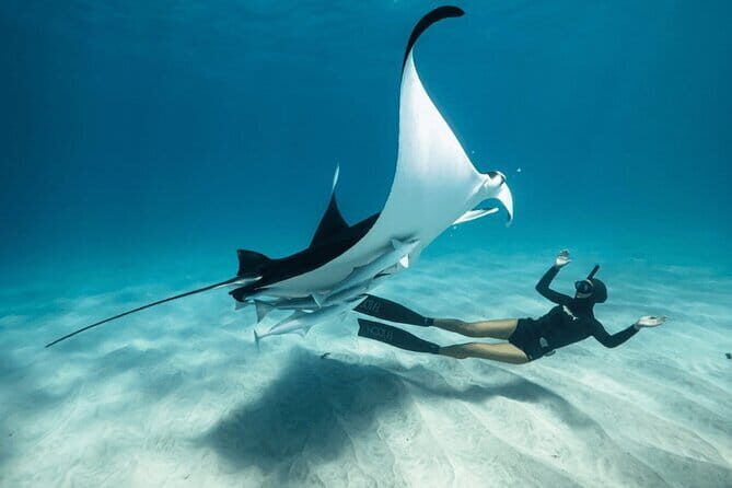 Snorkeling 3 Spots with GoPro & West Coast Tour Nusa Penida - How the Tour Unfolds