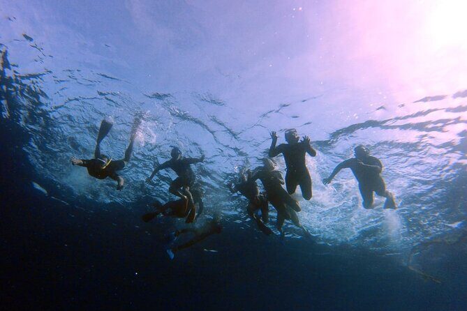Snorkeling Activity in Aqaba with Lunch and Transportation (Boat) - The Value of This Tour