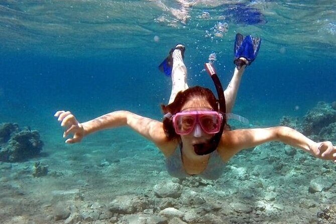 Snorkeling Activity in Aqaba with Lunch and Transportation (Boat) - Authentic Experiences from Travelers