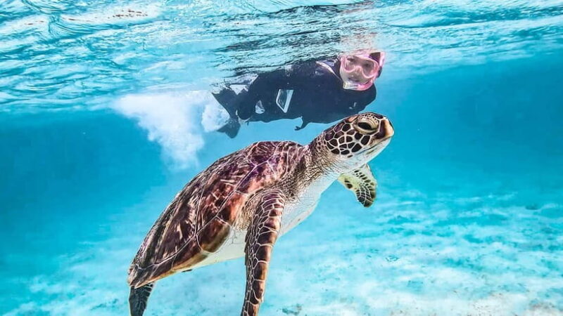 Snorkeling Activity in Okinawa Miyako Japan - Key Points