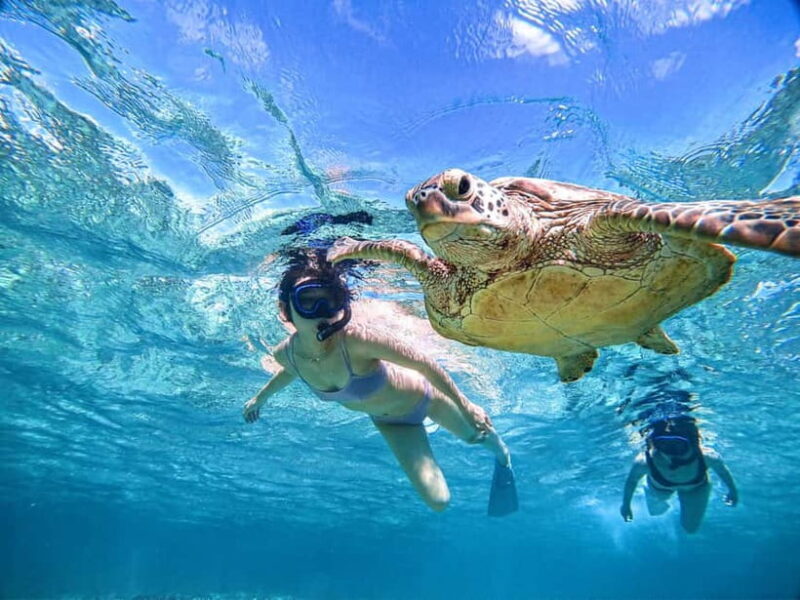 Snorkeling Activity in Okinawa Miyako Japan - Introduction: What to Expect from the Miyako Island Snorkeling Tour