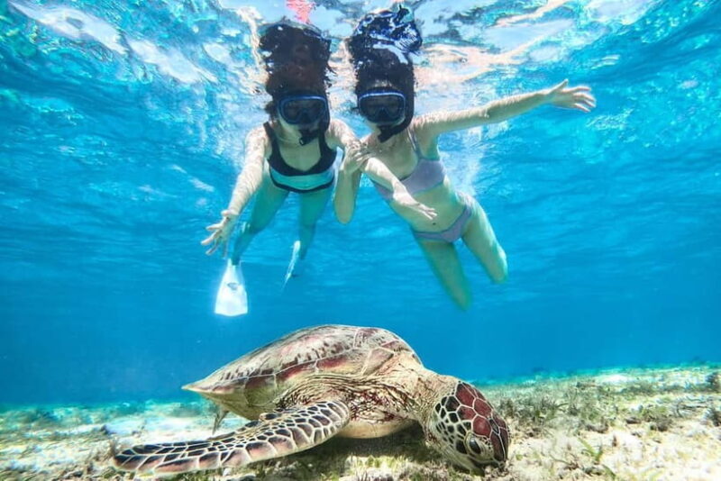 Snorkeling Activity in Okinawa Miyako Japan - Detailed Breakdown of the Experience