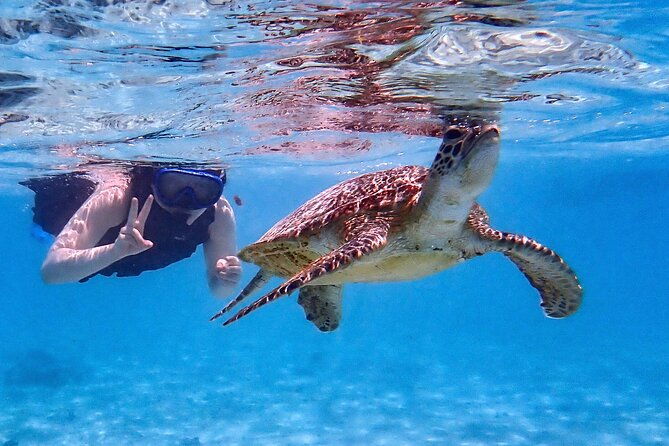 snorkeling-activity-in-okinawa-miyako-japan