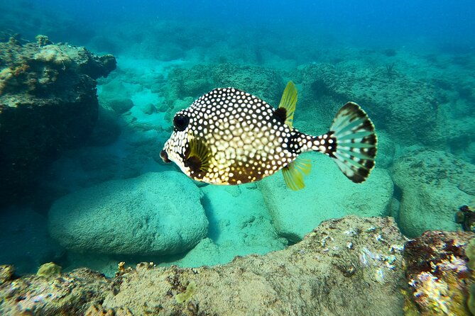 snorkeling-adventure-in-aguadilla