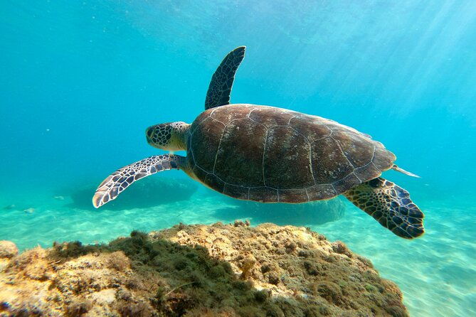 snorkeling-adventure-in-aguadilla