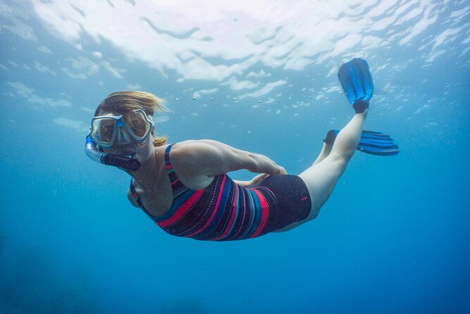 snorkeling-adventure-in-the-funchal-eco-park