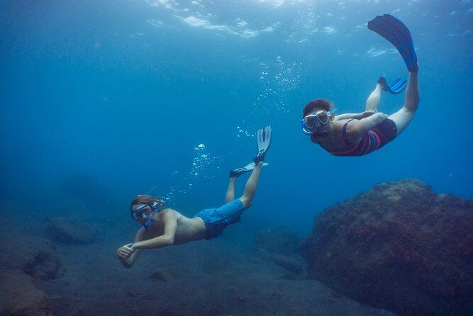 snorkeling-adventure-in-the-funchal-eco-park