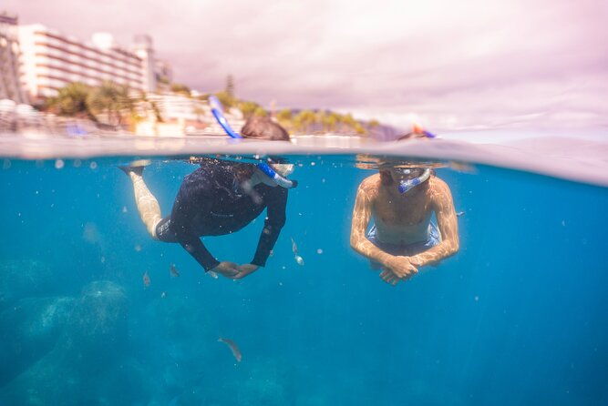 snorkeling-adventure-in-the-funchal-eco-park