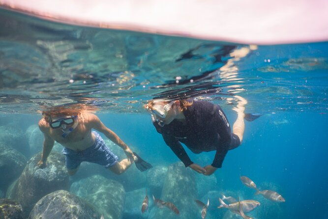 snorkeling-adventure-in-the-funchal-eco-park