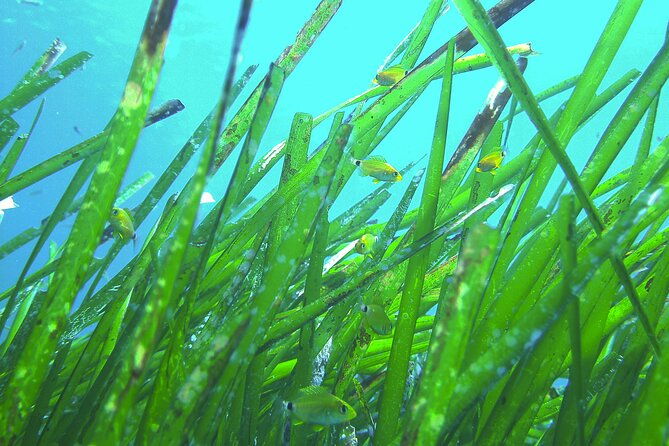 snorkeling-adventure-trip