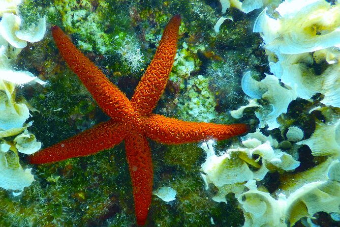 snorkeling-adventure-trip