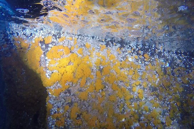 snorkeling-among-the-underwater-caves-of-ischia-ponte