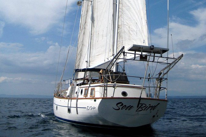 snorkeling-and-cruises