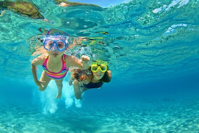 Snorkeling and Dolphin Watching Experience in Destin - Key Points  