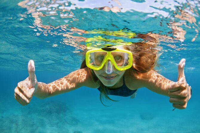 Snorkeling and Dolphin Watching Experience in Destin - A Typical Day on the Water