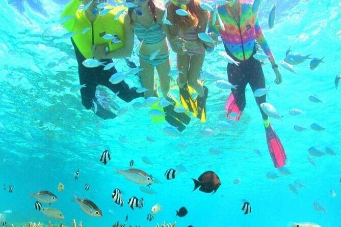 Snorkeling and Dolphin Watching with Lunch Package - Final Thoughts