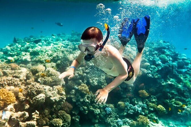 Snorkeling And Fishing To The South Phu Quoc - Introduction: Is This Tour Worth Your Time?