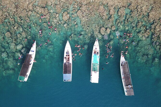 Snorkeling and Island Hopping Tour in Karimunjawa (sharing tour) - Key Points