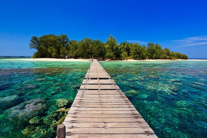 Snorkeling and Island Hopping Tour in Karimunjawa (sharing tour) - Who Should Join This Tour?